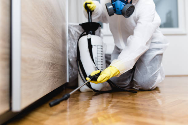 Best Local Pest Control Services  in Loogootee, IN