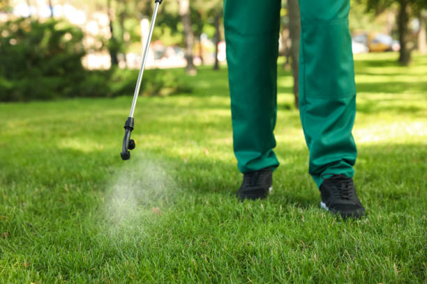 Best Exterminator Services  in Loogootee, IN