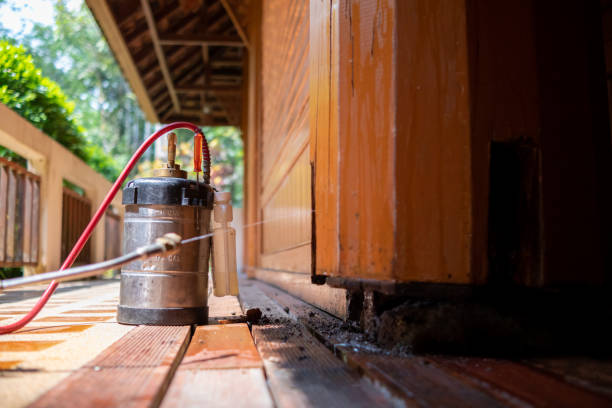 Best Cockroach Control Services  in Loogootee, IN