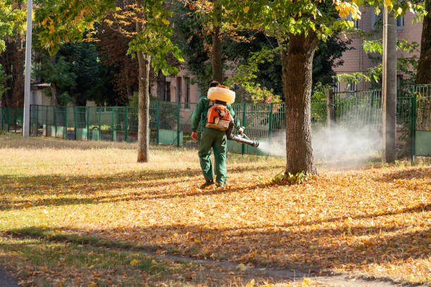 Trusted Loogootee, IN Pest Control Experts